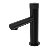 Parisi Todo II Basin Mixer with Straight Spout | Matt Black